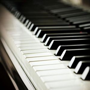 91禁🍆🍑美女❌❌❌自己的宠物
